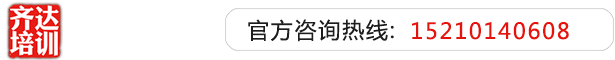 WWW.干BB齐达艺考文化课-艺术生文化课,艺术类文化课,艺考生文化课logo